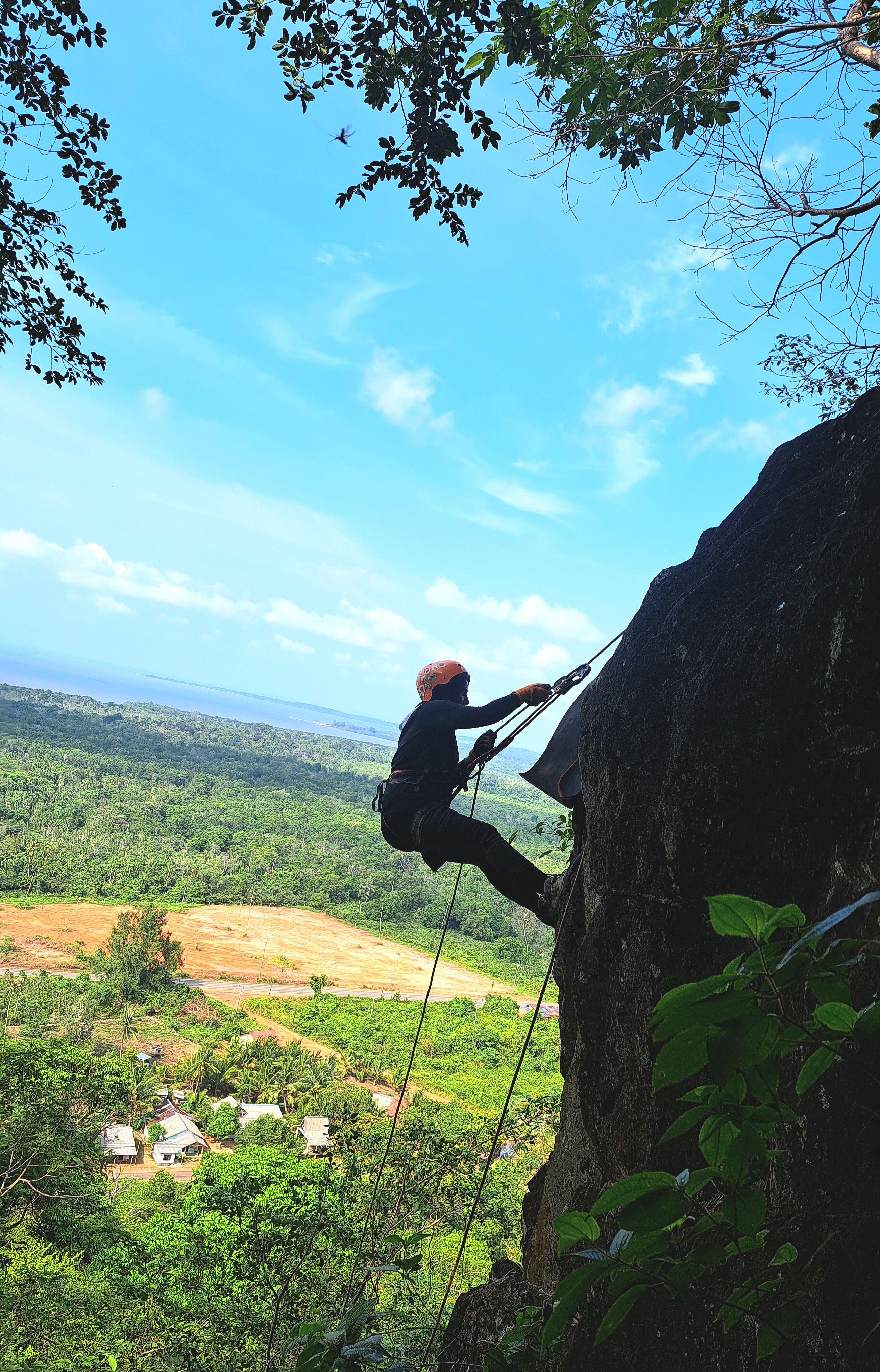 Activity